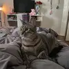 hailey - @helduserhailey - TikTok