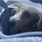 Hailey Holt - Facebook