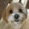haileyheldin - @haileyheldin - TikTok