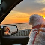 Hailey  Henderson - @hailey_h_11 - Instagram