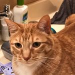 Hailey - @hailey.hickman0504 - Instagram