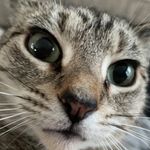 Hailey Howell - @haileyhowell20 - Instagram