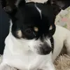 haileyjoyce18 - @haileyjoyce357 - TikTok