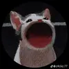 Hailey Kohler - @haileykohler2 - TikTok