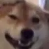 hailey - @hailey.lanier - TikTok