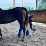 Haley Hudson Lanier - @equinamicstherapy - Instagram