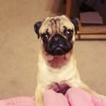 Hailey Lindsey - @lily_loo12 - Instagram