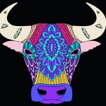 Hailey R Lindsey - @hailey_lindsey0415 - Instagram