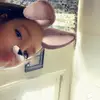 Hailey🥺🔫😭💖🧸 - @haileyjade_locklear - TikTok
