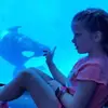 HAILEY LYNNE - @user826975 - TikTok