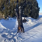 Hailey Mackenzie - Facebook