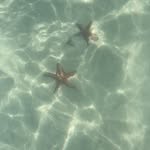Hailey maynard - @haileymaynard37 - Instagram