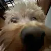 Hailey McCarthy🤍 - @hailey.ryy - TikTok