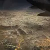 Hailey_MCcoy_🦈 - @hailey_mccoy_ - TikTok
