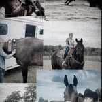 Hailey Morrison - @hailey_gracie14 - Instagram