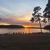 haley.nevins - @haley.nevins - TikTok