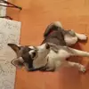 hailey lynn newell - @db.mb.hb - TikTok