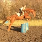 Hailey Olson - @haileyolson9876 - Instagram