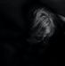 Zedler Hailey Paris - Facebook
