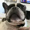 haileyperez - @hailey_perez - TikTok
