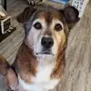 hailey - @haileyperkins54 - TikTok