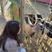 Hailey Phan - Facebook