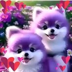Pleasant Heliy - Facebook