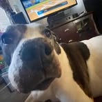 Haylee Plyler - Facebook