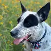 Hailey.polson - @hailey.polson - TikTok