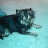 Hailey pop - @hailey.pop0 - TikTok