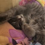 Hailey potts - @cashbakerfan_hailey - Instagram