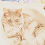 hailey pugh - @haileypugh0909 - Instagram