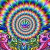 Hailey Ramirez - @hailzzy420 - TikTok