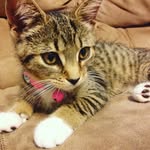 Hailey Ramsey - @ramsey_hailey12 - Instagram