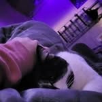 Hailey Rasmussen - @rasmussen.hailey - Instagram