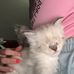 Haley Rasmussen - Facebook