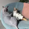 hailey_rosen - @hailey_rosen - TikTok