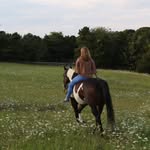 Hailey Rosenfield - @rosenfield.hailey - Instagram