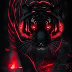 Haley Rowden - Facebook