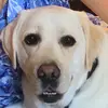 Hailey Rubin - @haileyrubin - TikTok
