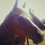 ) - @haileyrushing1234 - Instagram
