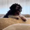 Hailey - @hailey.sadowski - TikTok