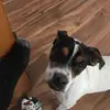 Hailey Salas795 - @they_luvs_hailey - TikTok