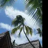 HaileySantos - @zalanirvq8u - TikTok