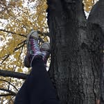 Hailey Schaefer - @photography__hailey - Instagram
