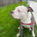 Haley Schindle - Facebook