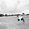 haileyseifert35 - @haileyseifert35 - TikTok
