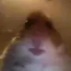 Hailey Shannon - @alexeistranger - TikTok