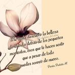 Hailey Sosa - Facebook