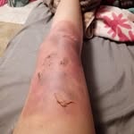 Hailey Stanley - @haileystanley58 - Instagram